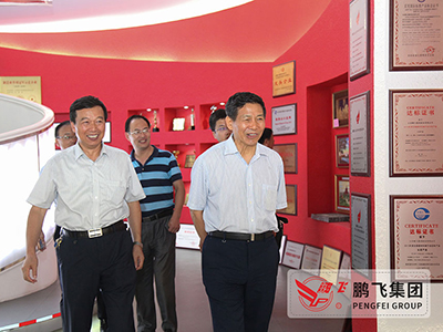 中國(guó)建材聯合會會長(cháng)喬龍德在公司調研